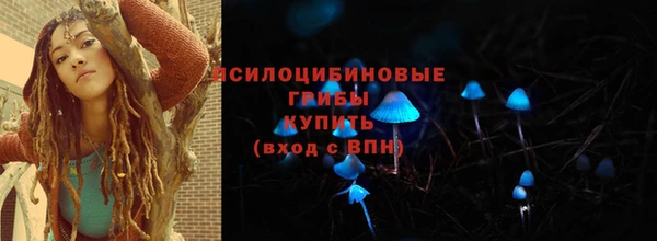 Альфа ПВП Арсеньев