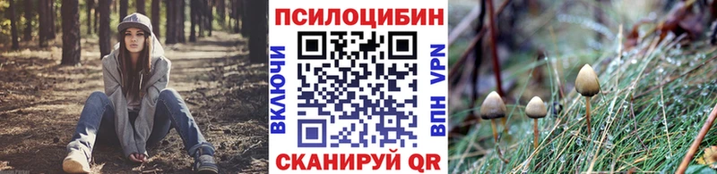 Псилоцибиновые грибы мухоморы Багратионовск