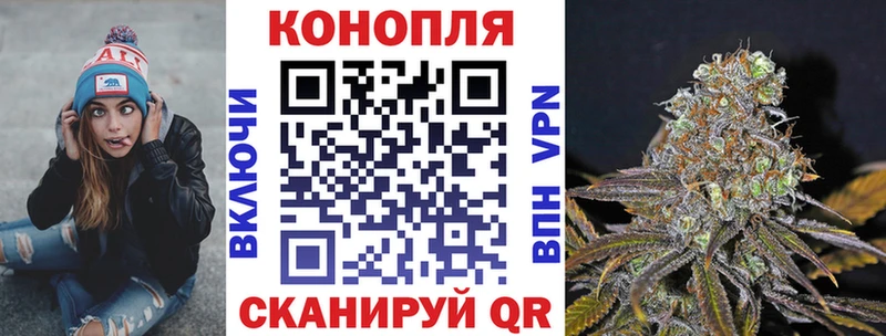 купить наркотики сайты  Багратионовск  Конопля Amnesia 